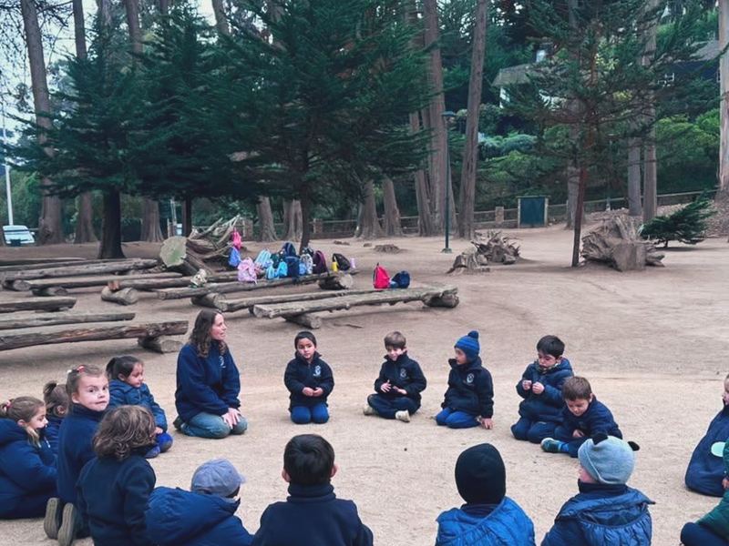 Anfiteatro al aire libre del colegio entre los árboles
