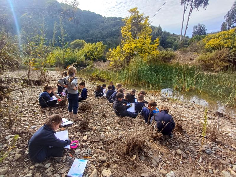 Estudiantes trabajando sentados junto al humedal del parque