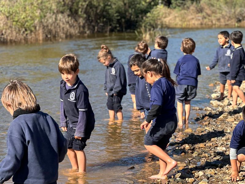 Estudiantes explorando el agua del humedal
