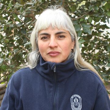 Cintya Ossandón Martínez